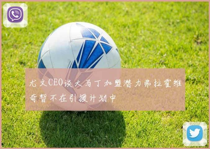 尤文CEO谈大马丁加盟潜力弗拉霍维奇暂不在引援计划中