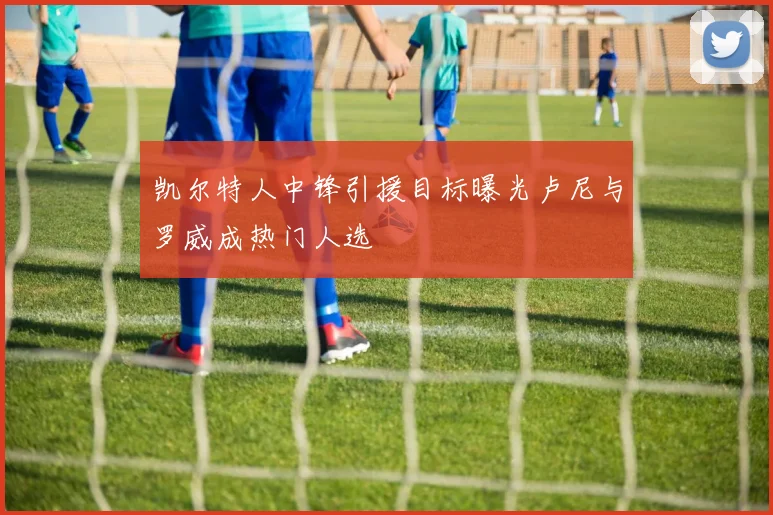 凯尔特人中锋引援目标曝光卢尼与罗威成热门人选