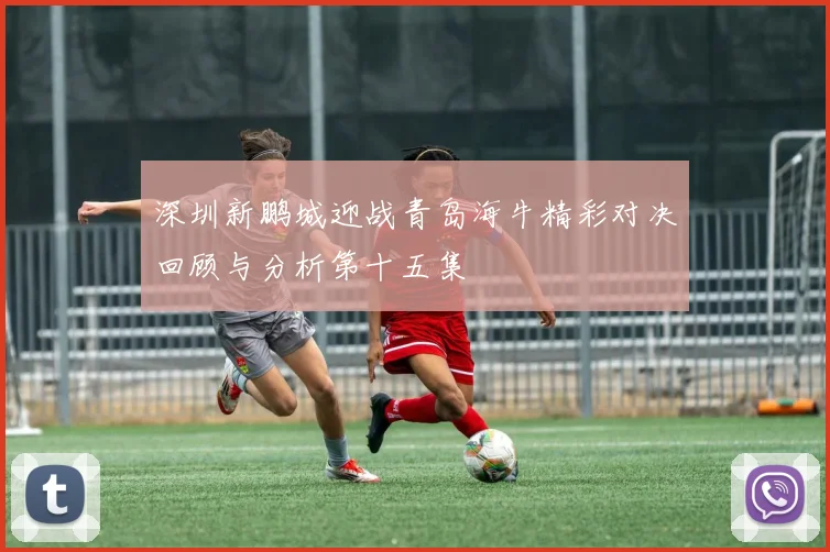 深圳新鹏城迎战青岛海牛精彩对决回顾与分析第十五集